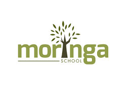 Image being showcased as the Moringa School 2.0 web-page thumbnail